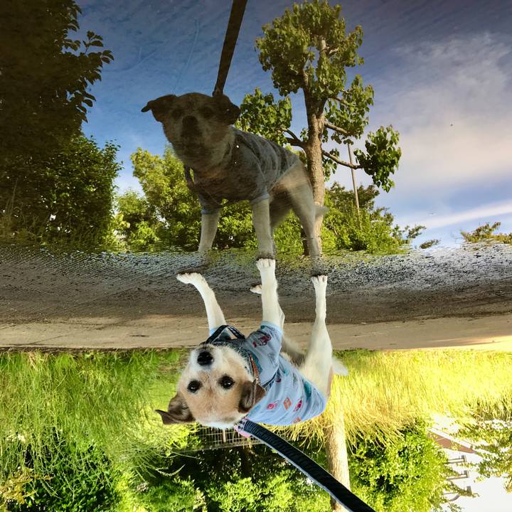 C7a30e69 e9df 45c1 a279 5a498400ae57 1655074807093