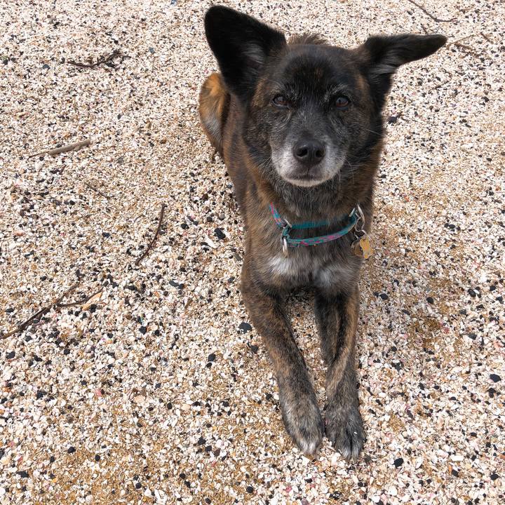 C7a31bb4 38f1 4530 afda 93e7306a2378 1586995902460