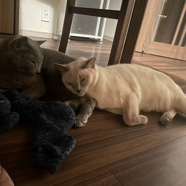 C7a32528 7133 4050 afc1 ec79b9786d65 1737498610317