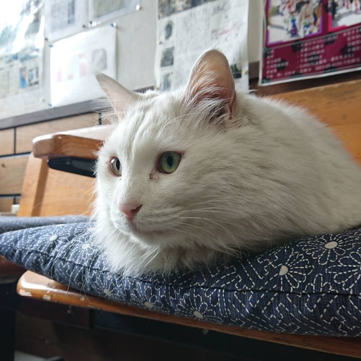 C7a346ba eba0 4f88 82be 032e08492178 1554071097357