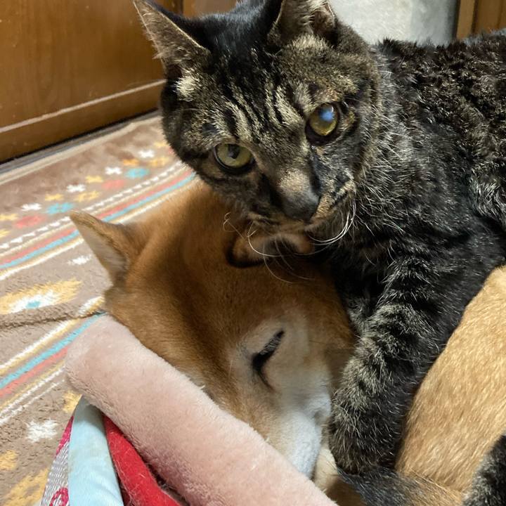 C7a34d7b 9b3e 4c89 8d36 4171ce42b58d 1645933926961