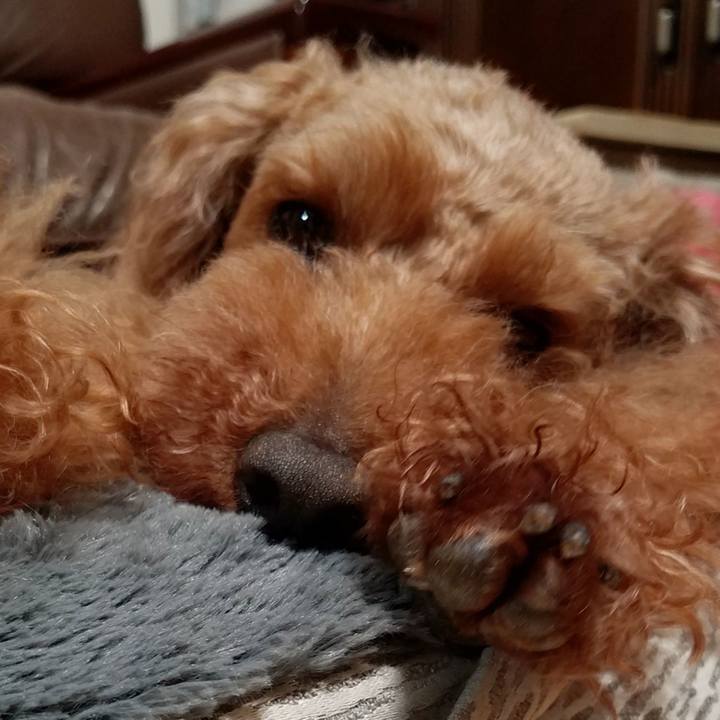 C7a35d5b dcc0 4313 8fcb c75454de8145 1589024787559