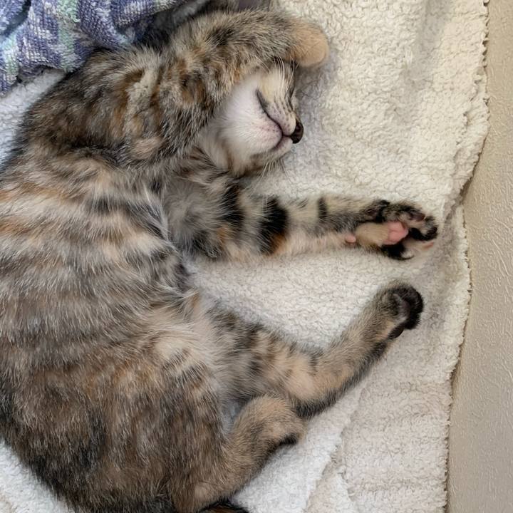 C7a3961a f7db 46f8 81e0 2316e199e61e 1591843928098