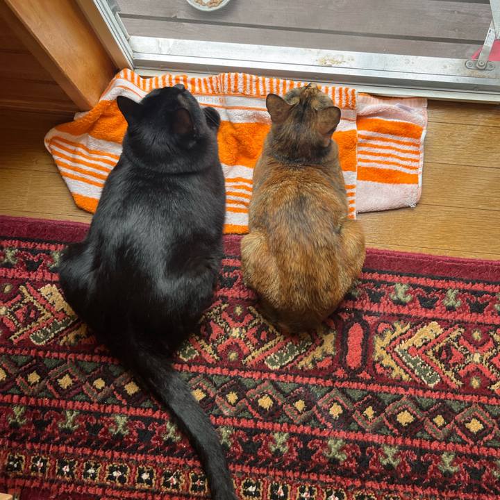 C7a3caa1 e326 4629 9707 0046630cce4c 1662673147505