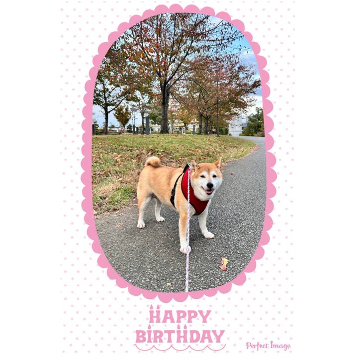 C7a414cd c2b1 45be 9bf2 8b1b2de4517f 1731251025009