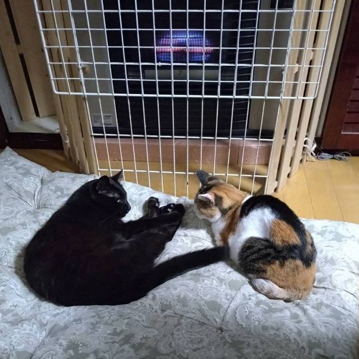 C7a41bc9 4dc9 4c0c 8149 20e98b15a97b 1730381895544