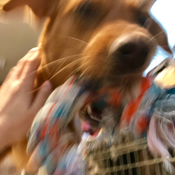 C7a46ff2 6fec 44a5 9229 ecd7fa806469 1523796304601