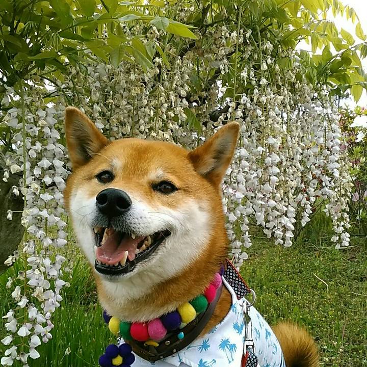 C7a471c8 9691 4dd4 ad74 870a453684e7 1557117708597