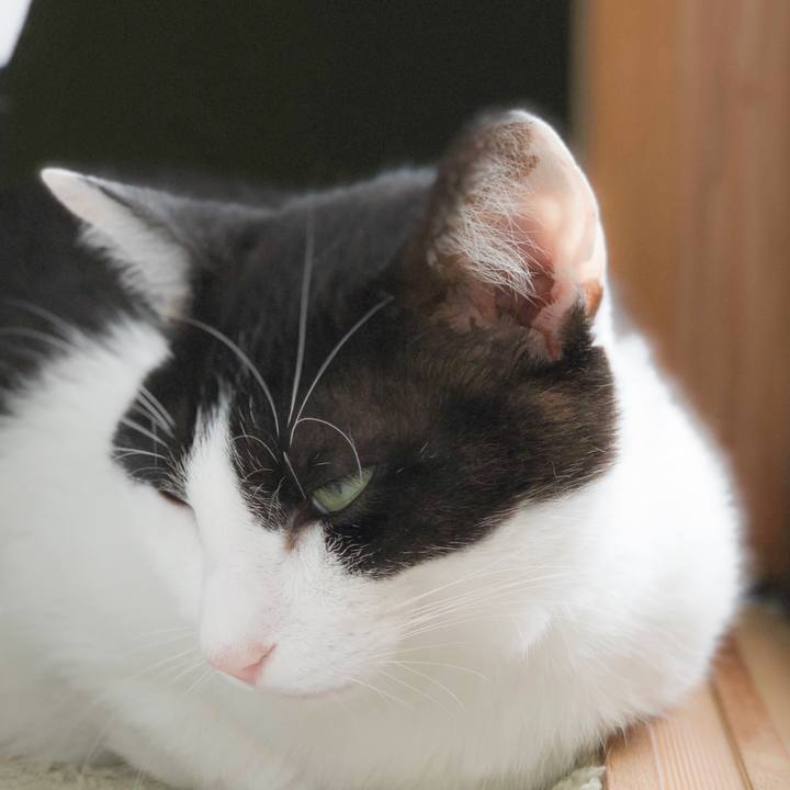 C7a48208 21ae 453f 8212 52ed0f371c89 1565051838809