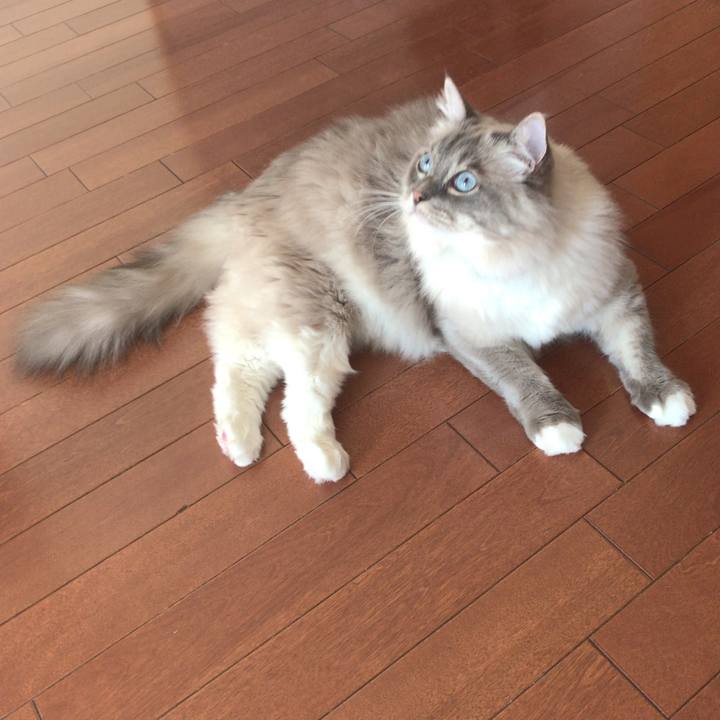 C7a4c7ce a155 4bce aba2 dcde785305c4 1510913163476