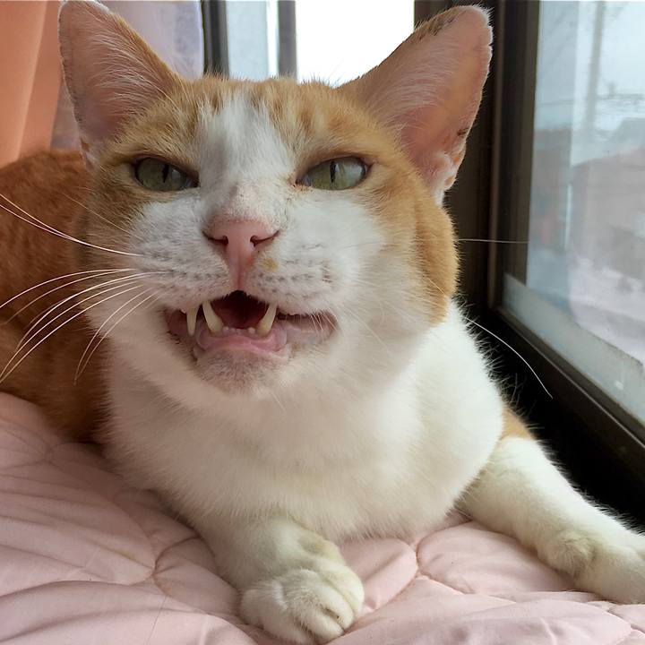 C7a4caf1 d0ad 4051 a44b 4e904dbe229b 1599115255800