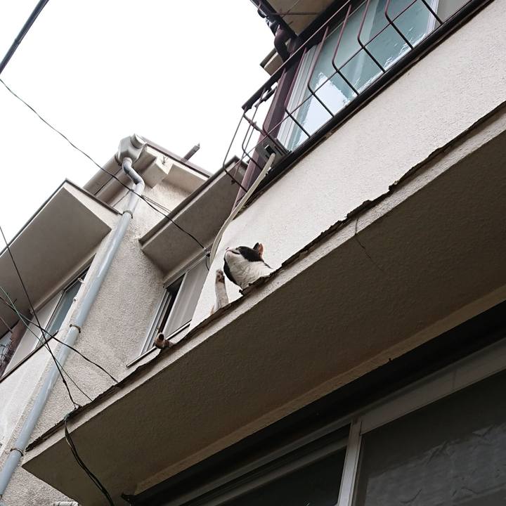 C7a4cfe6 32f6 46a6 8279 2390b391fe11 1588576792811