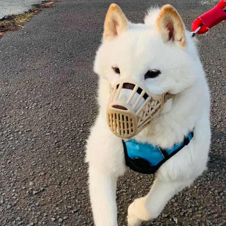 C7a4f705 7e6b 43f8 a448 ecc119758f77 1680561082685