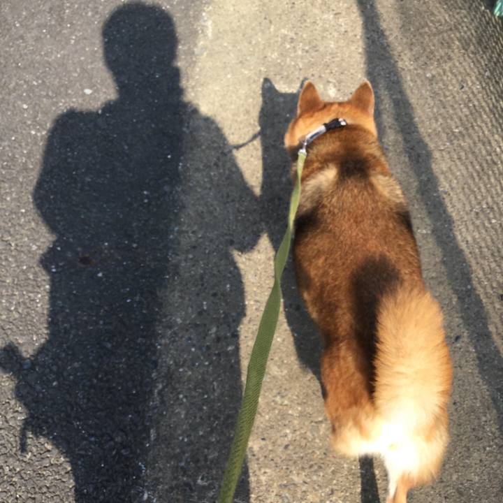 C7a4fac5 1859 4acb be50 8184b0a5ef9f 1597450286377