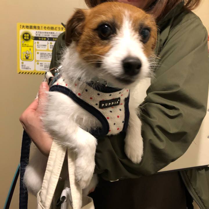 C7a51238 1341 4efd a1da 29dd8848d13b 1549616157085