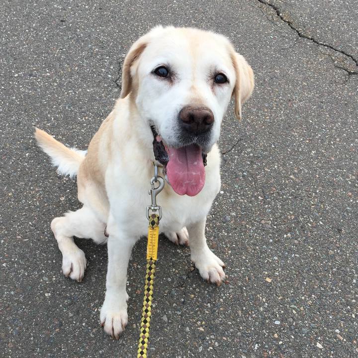 C7a53266 9020 4c58 8157 76666adab949 1531432225712