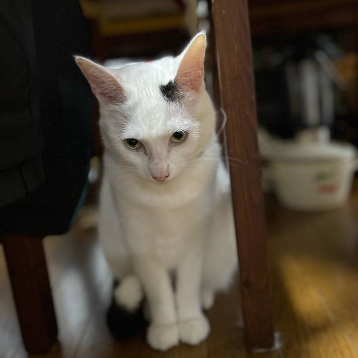 C7a54bd5 044c 4699 a1f7 5dbe01b598d8 1763172287894