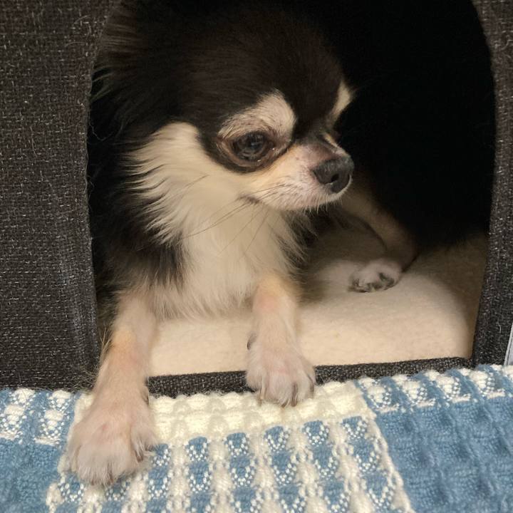 C7a54cdd ac49 4ce7 9081 3ab421afab81 1662902013964