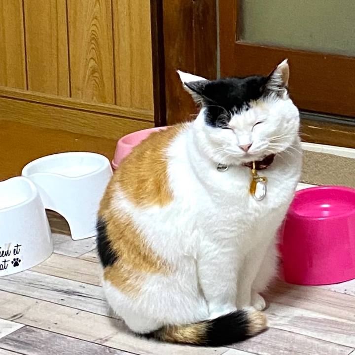 C7a54f54 5d71 4037 977f 764123fe0098 1704796596975