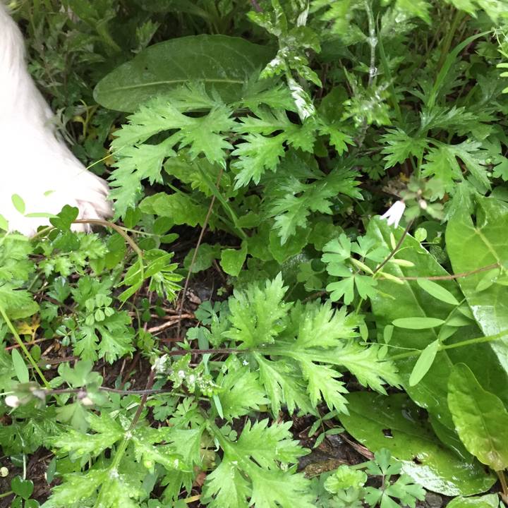 C7a55736 d660 4c2e a336 e15fb7b4066e 1583279968360