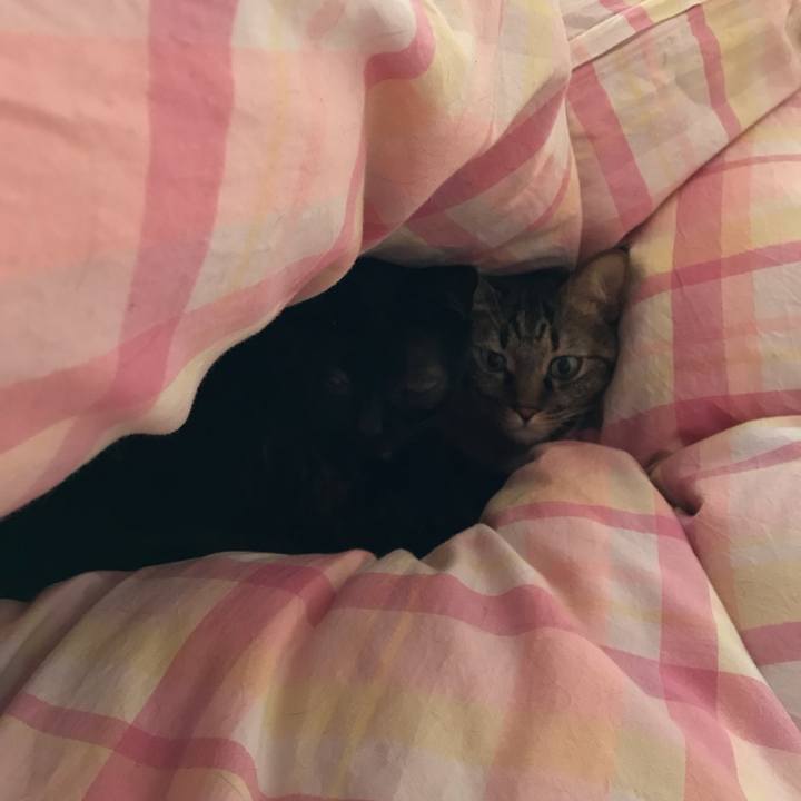 C7a559c4 626d 4da5 960b 4760c029fa30 1546744684549