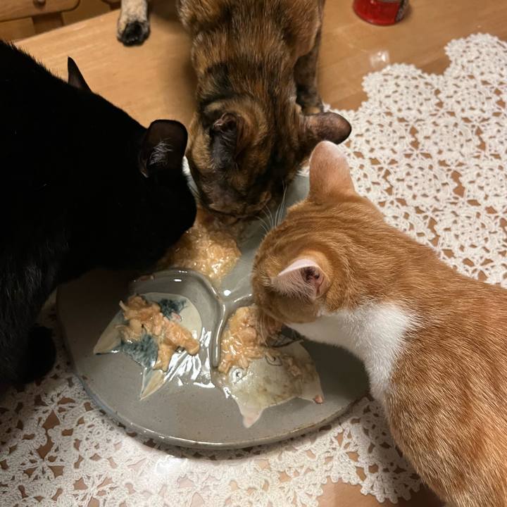 C7a5c12b aaf1 44fd 8b69 547f8173dc59 1673732459364