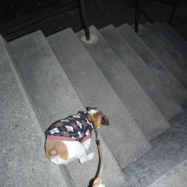 C7a5cb56 6785 4bf8 81c9 d11b7ab1817e 1513866605744