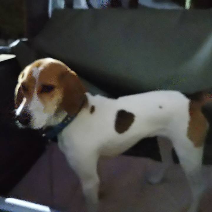 C7a5df5b 8ef5 4071 be7f 47d4f8fb23a4 1575449464232