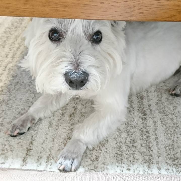 C7a5e346 cdfb 477b 9f20 a8eb9a5db2ea 1516620379809