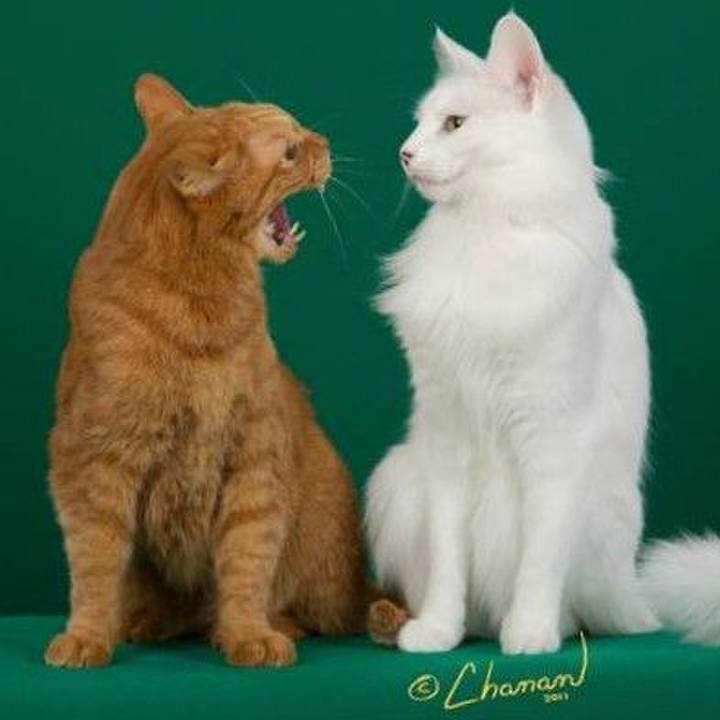 C7a6005d 3375 4aaf 8e0c cb77194fed40 1676686545346