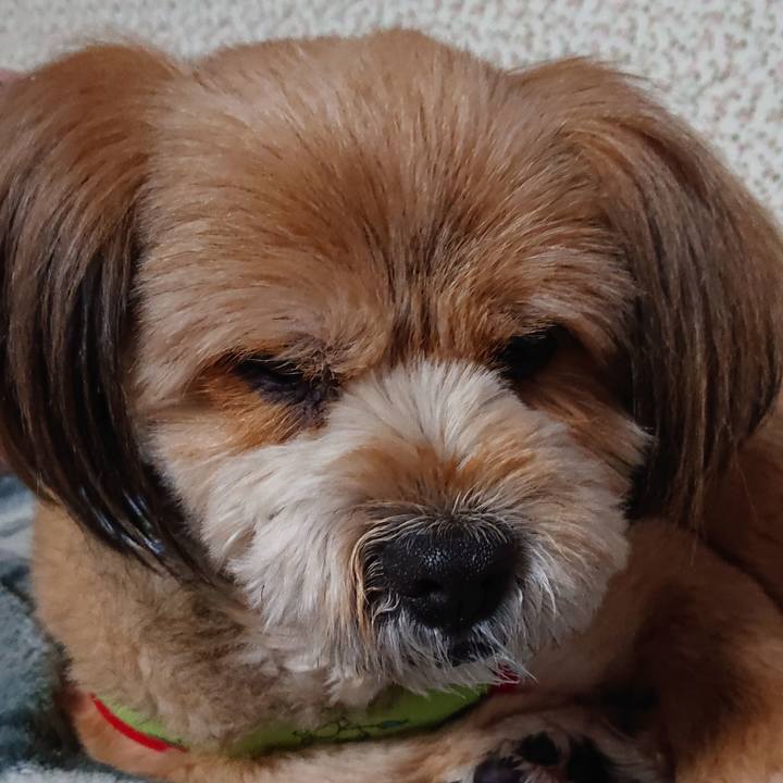 C7a661b6 e687 4029 a256 86f5920ecf1a 1585393881270