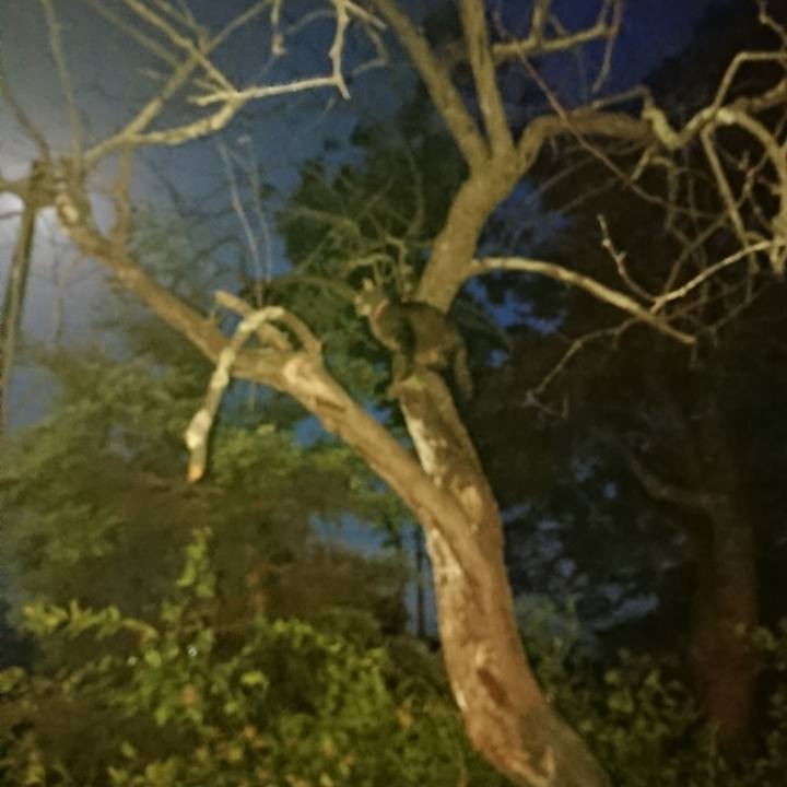 C7a665cb 3232 4d89 81e8 c768d890d433 1652524869363