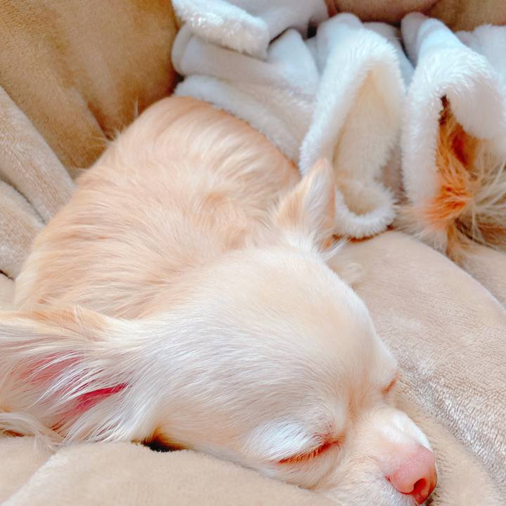 C7a66a9e b30b 478f 942d f31b8ceea0eb 1641526833062