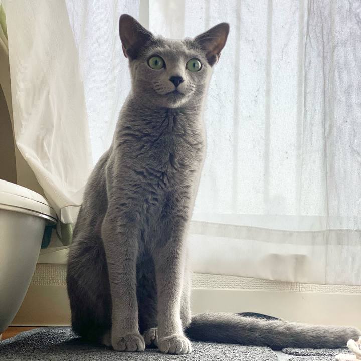 C7a66afa 12c5 419d 9980 4b1a739a2dcd 1625918481240