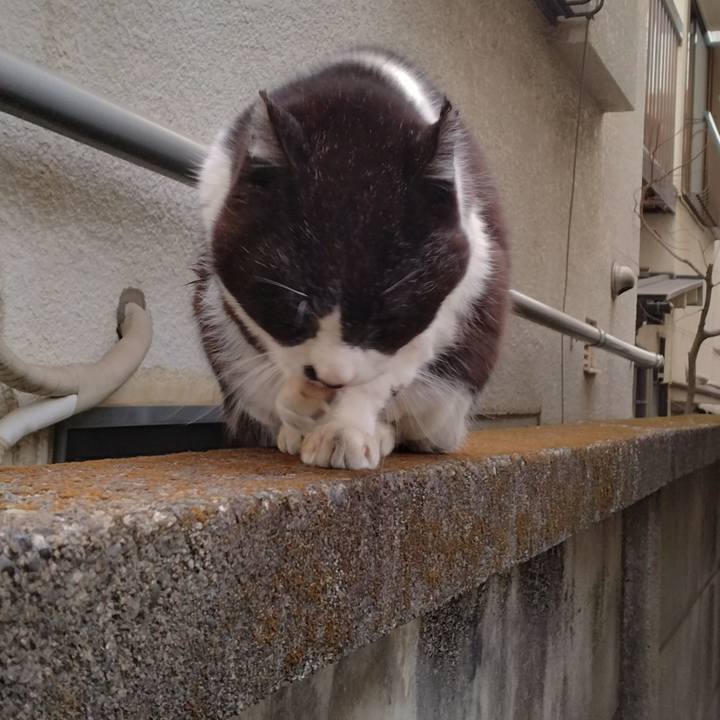 C7a69a42 b49e 435a 8746 be12a428d199 1710852015731