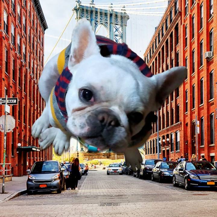 C7a6a9c8 681b 46e8 8ebb 0e025f04639f 1644618625051