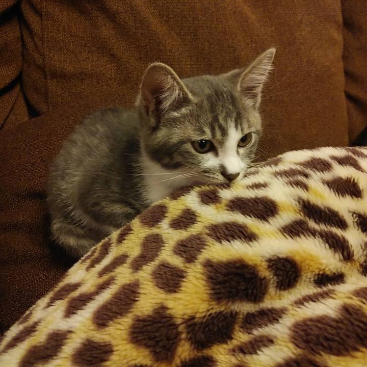 C7a6b238 31c1 42dc be55 9537be76a991 1563809654862