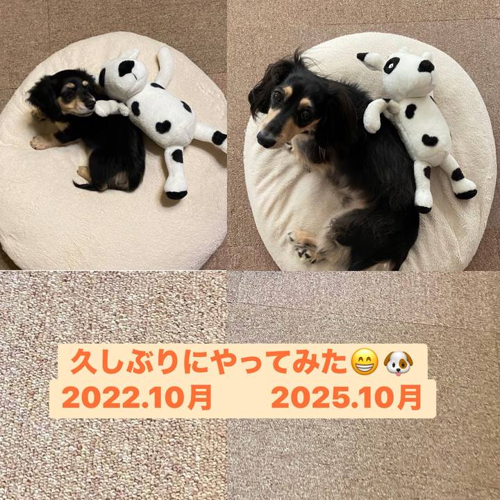 C7a6cbf1 c5c7 42ae a8e2 cfbaed27d907 1759712098880