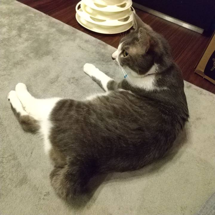 C7a6ef46 9f51 4e0c 90b7 63990fa56458 1614683968400