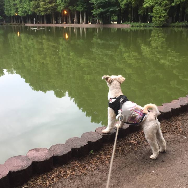 C7a7043d b197 4771 84f0 0e5140fb6b41 1534157456011