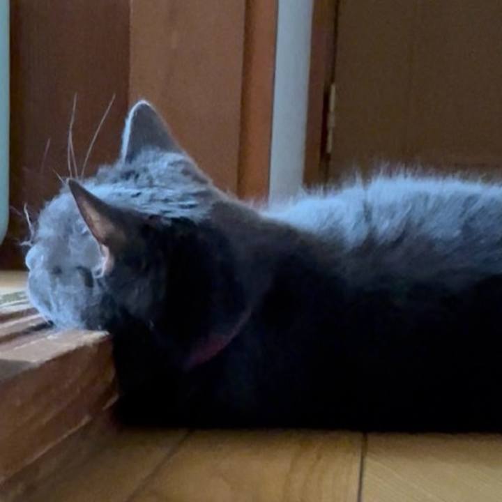 C7a716f4 04ec 481c b11c f391f7f0f08d 1755905451219