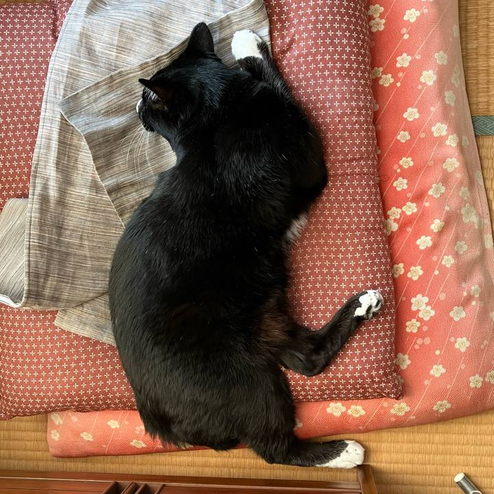 C7a739f7 c5c4 482b b4e6 9c149bcb1928 1737009693169