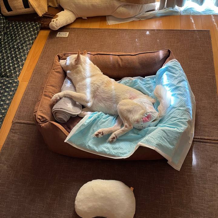 C7a75f9e 72b6 4f31 8561 2c55c3fb0362 1666667447597