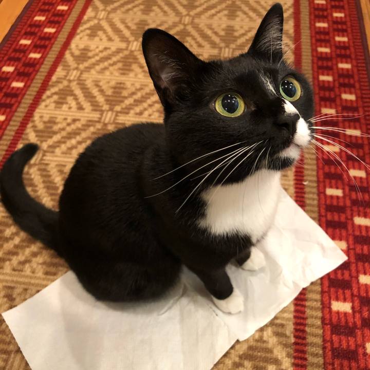 C7a771fb a9e0 4b64 863d 3469228a9d41 1511473811189