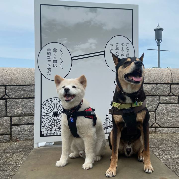 C7a77802 1b97 427d a9e1 72e37cbbf6f5 1716258502896