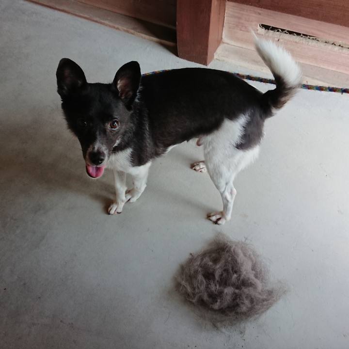 C7a77918 24e6 4e15 a24c 697db50ad34c 1564468577039