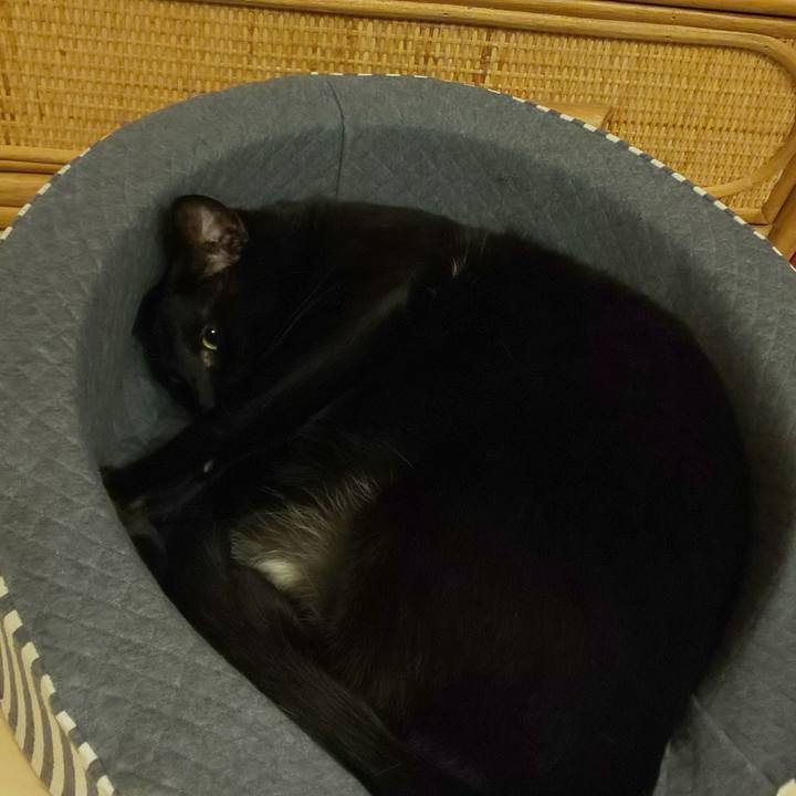 C7a77a32 60fa 4520 891a c5061475470b 1637373456729