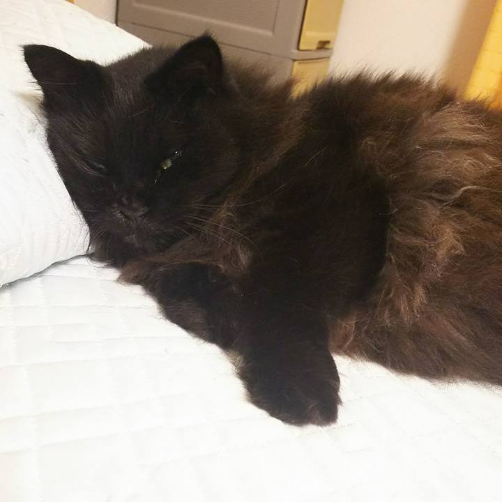 C7a78ff9 ce55 41c7 b99c f01a49da445b 1533734757567