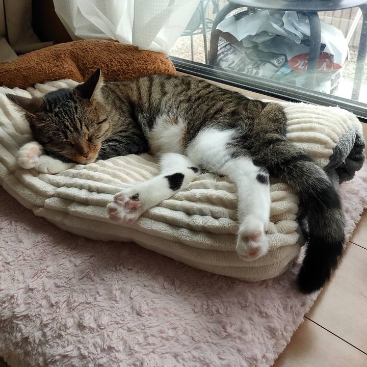 C7a7a0f6 68a1 4ac5 99b9 cc5262ff6f61 1652333668672