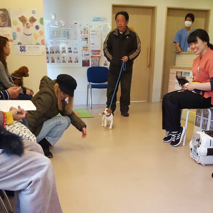 C7a7a842 b080 44bf a877 cc87be7e165a 1551512762819